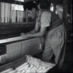 vintage-photo-16